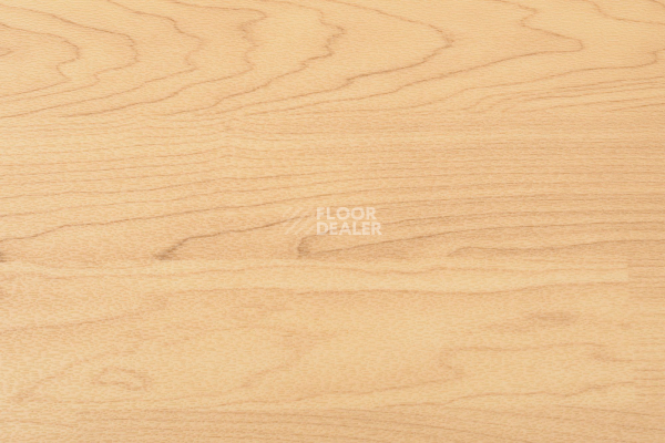 Линолеум Sportfloor pvc Wood 6.5 Дерево фото 1 | FLOORDEALER